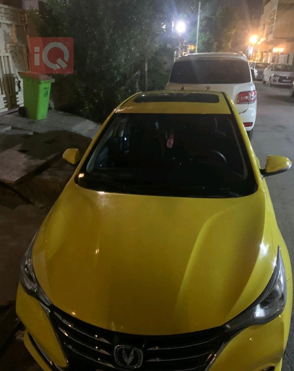 چانگان ئەلسڤین